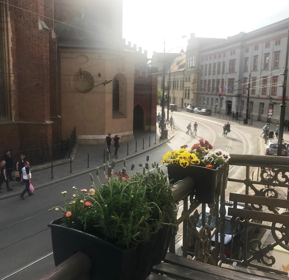 Amber Guest Rooms - Krakow — Zdjęcia 2