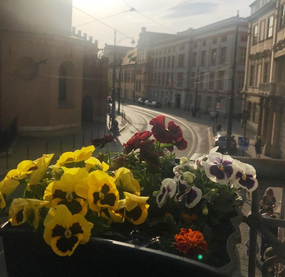Amber Guest Rooms - Krakow — Zdjęcia 3
